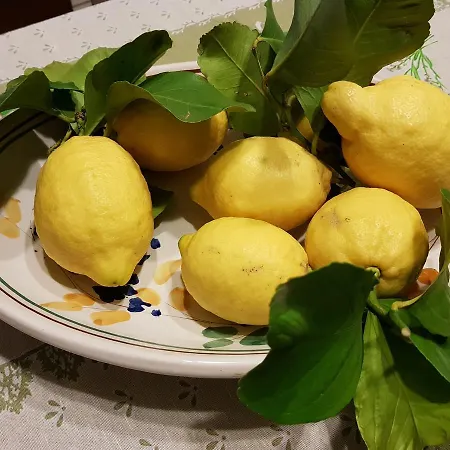 Acqua Di Mare * Mascali