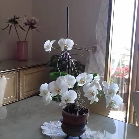 아파트 Acqua Di Mare