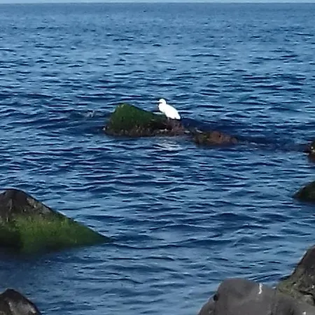 아파트 Acqua Di Mare *